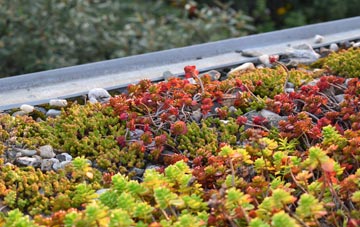 the cost of Tudorville green roof installation